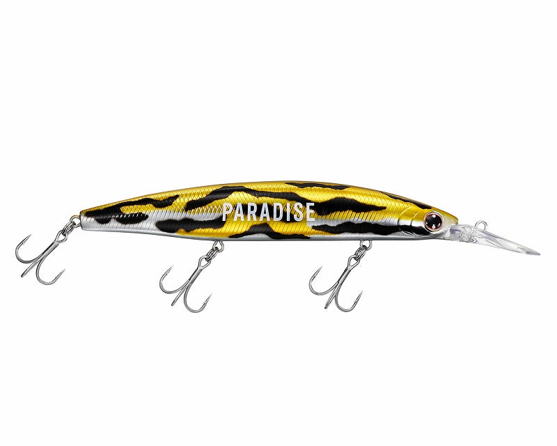 WACKO MARIA DAIWA / SHORE LINE SHINER Z SET UPPER 125S-DR